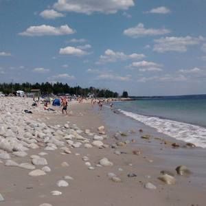 Meet your Posher, Colin